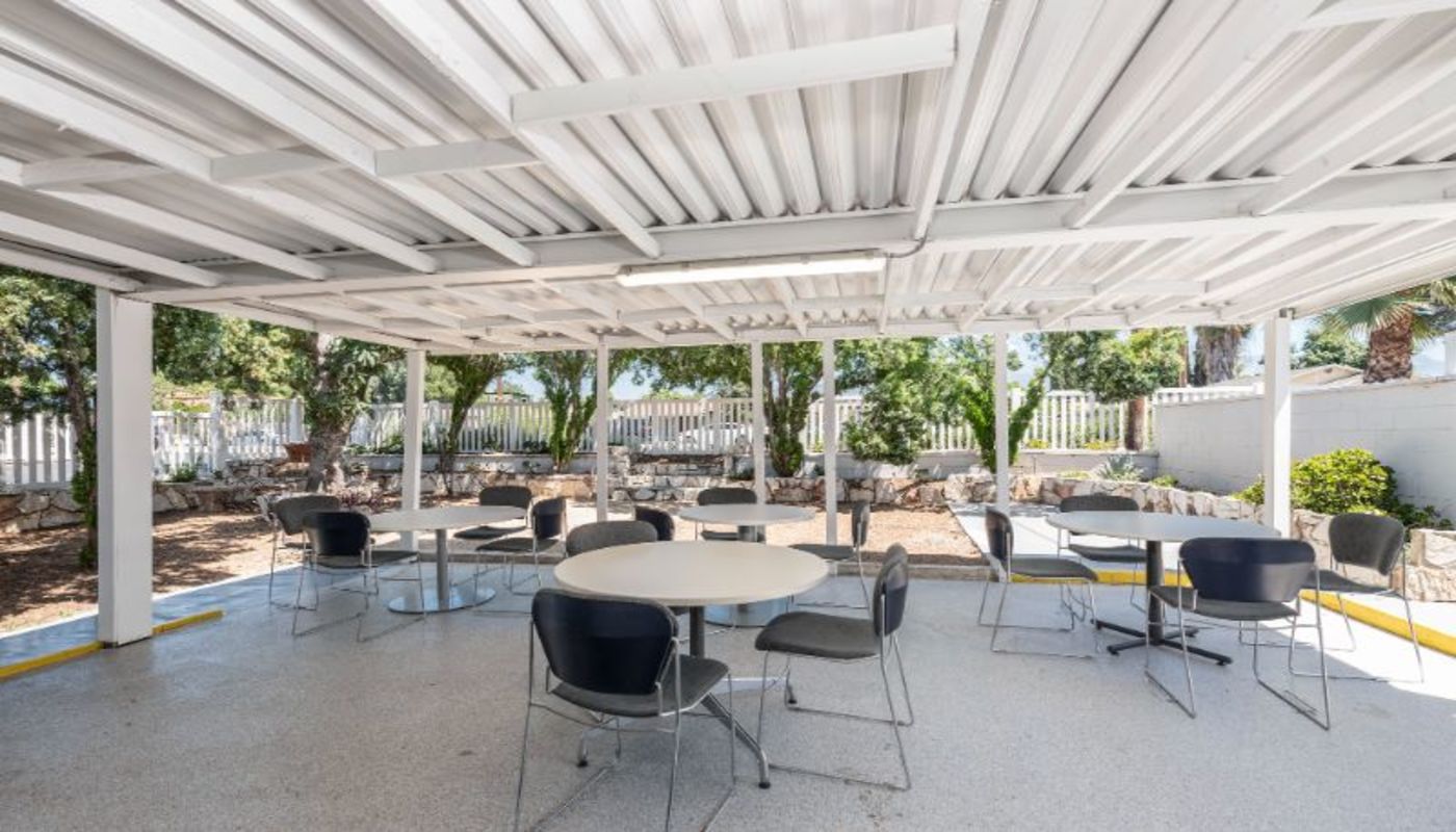 The Bridge of Montclair