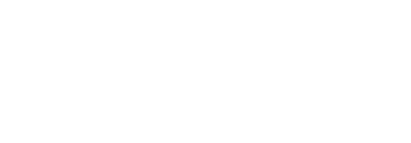 Bridges Healthcare