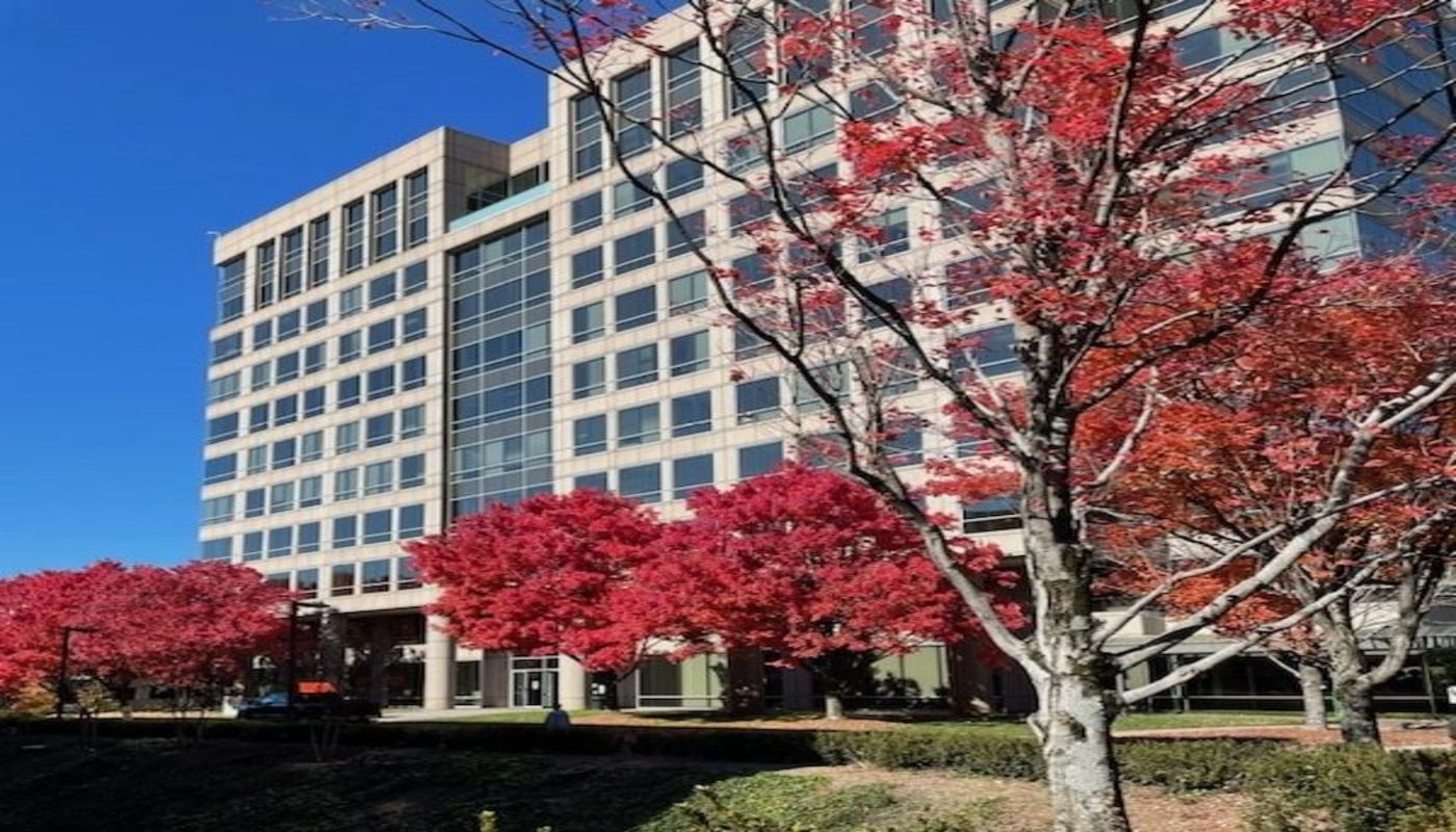 Ellie Mental Health Atlanta Sandy Springs