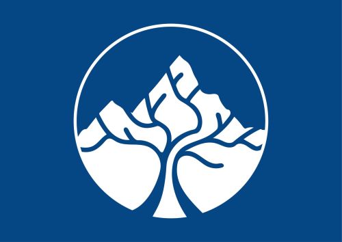 Engage Young Adult Transitions