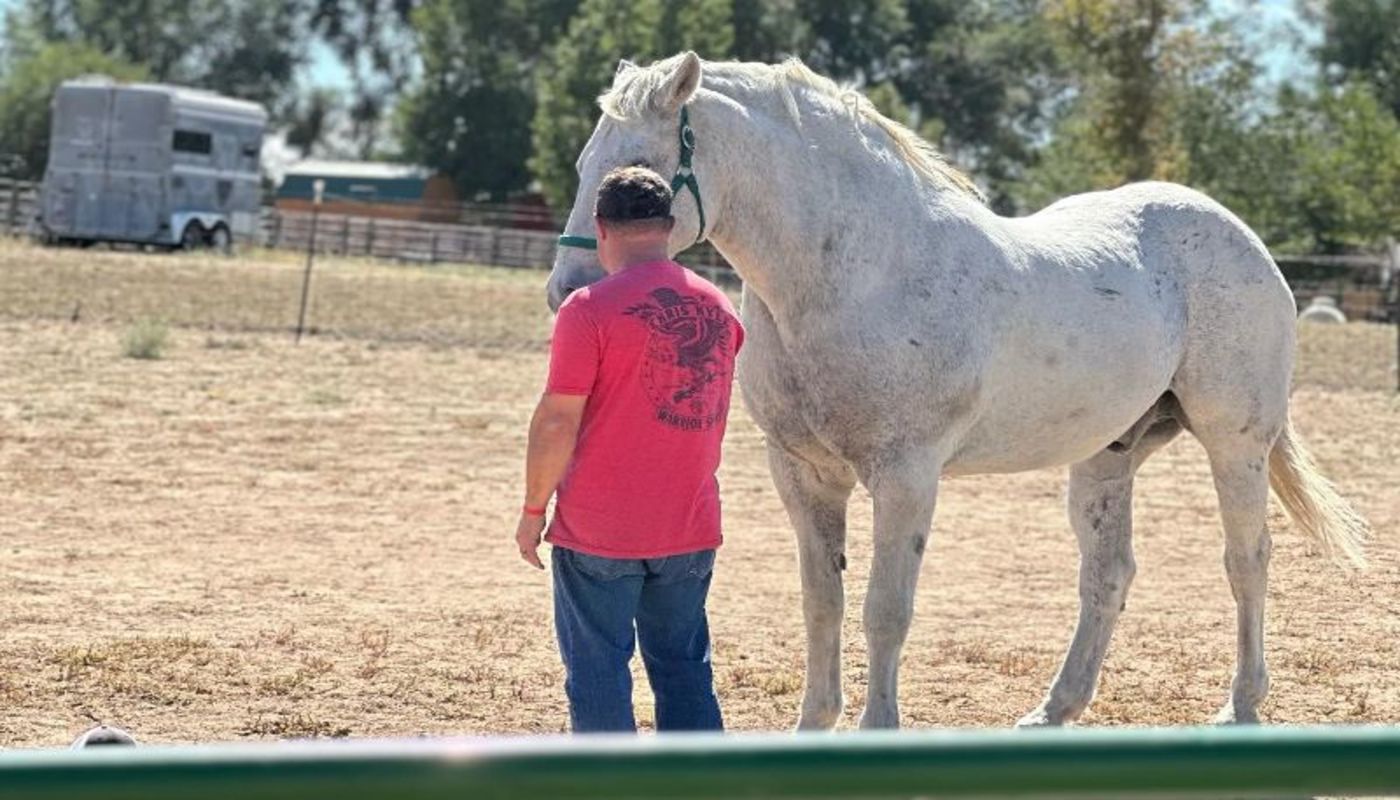 Holdfast Men's Recovery