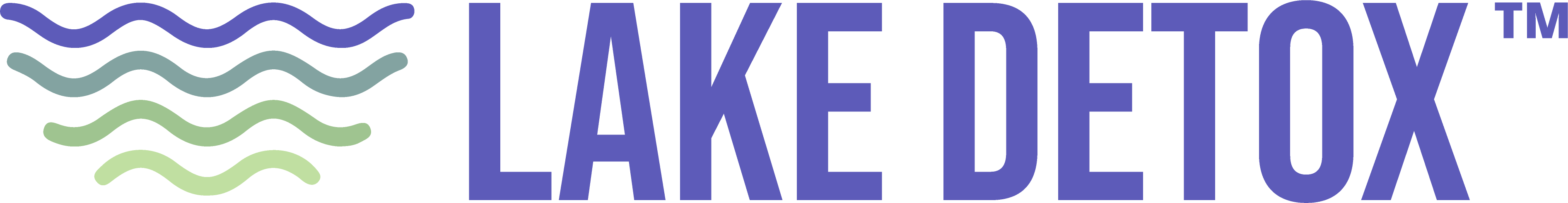 Lake Wellness Center Metairie