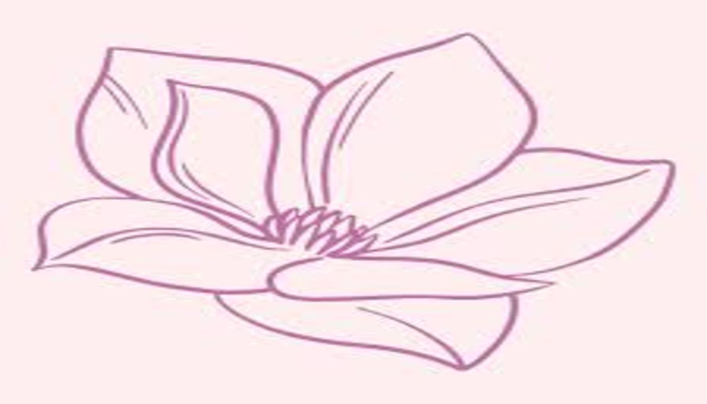 Magnolia Women's Recovery Programs