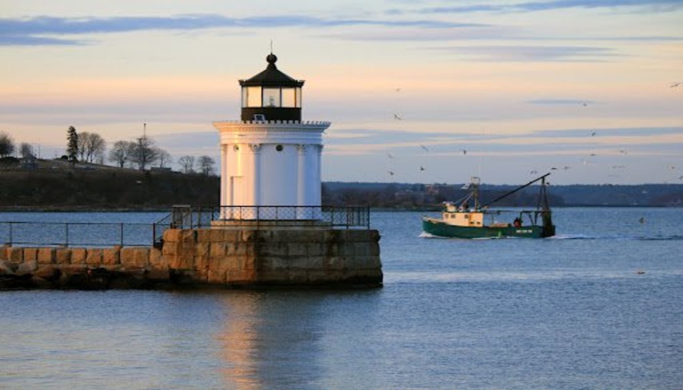 Maine Recovery Collective