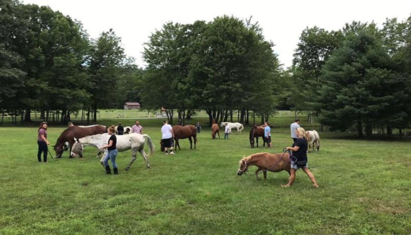 Malibu Wellness Ranch