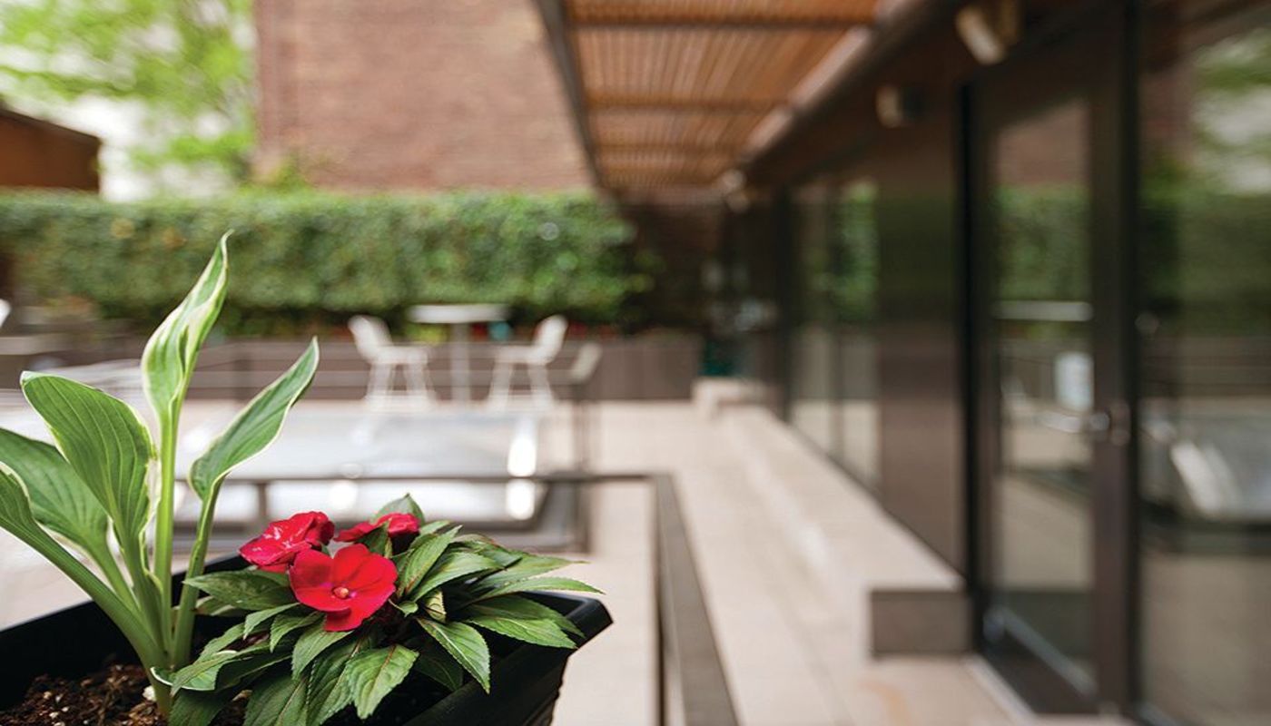 New York Center for Living