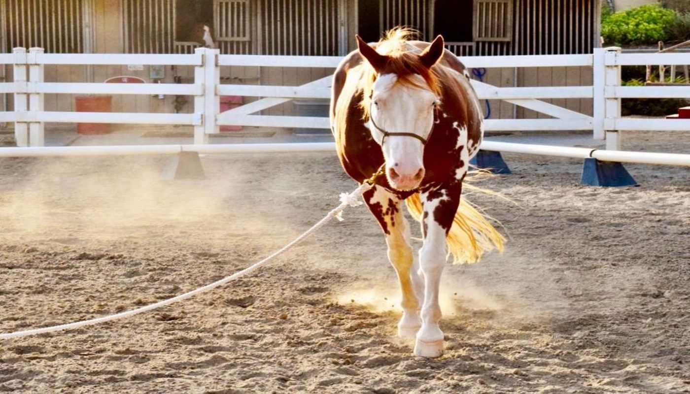 Newport Academy Northern California