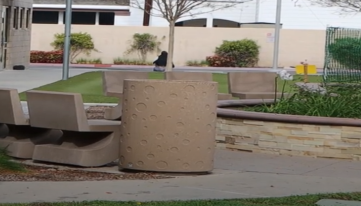 Pacific Clinics Recovery Education Center