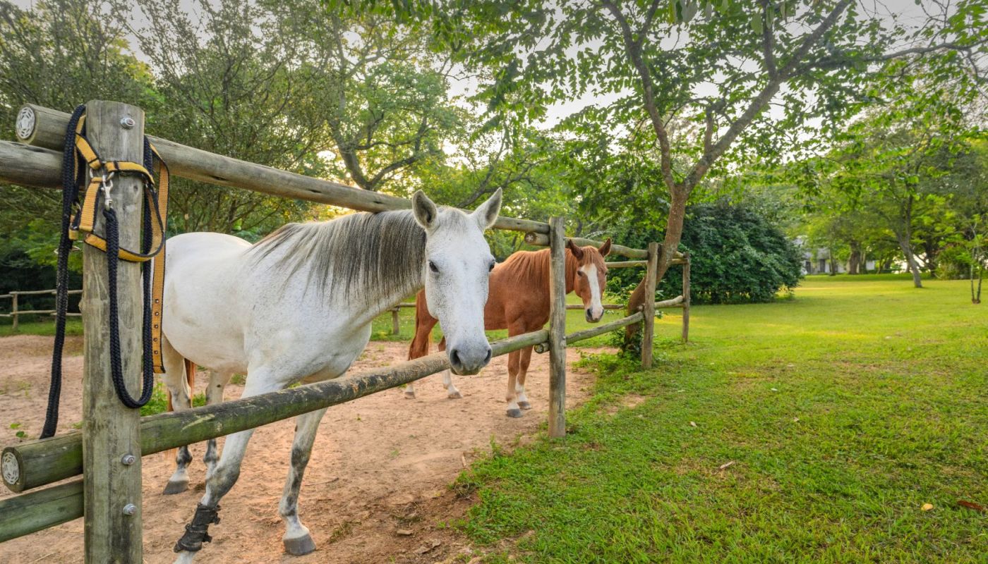 Recovery Centre at White River