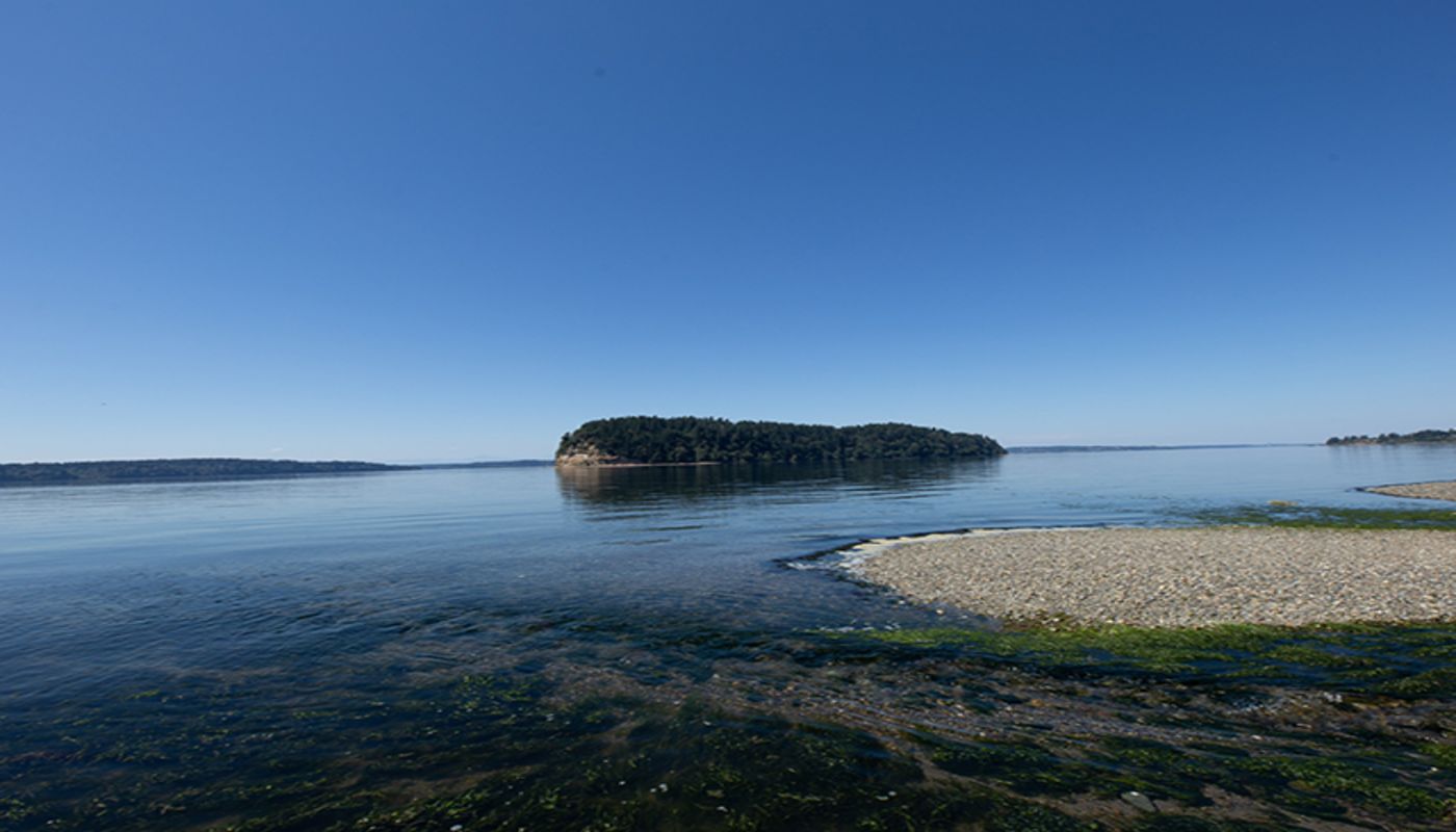 Royal Life Center at Sound Recovery