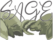 Substance Abuse Guidance and Education (SAGE) Waco