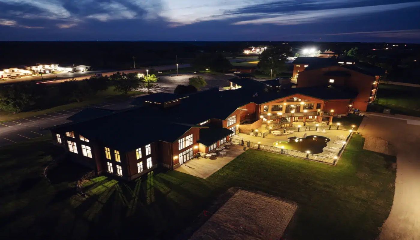 Wood Violet Recovery